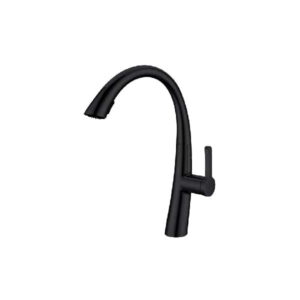 Morelia Kitchen Faucet