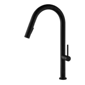 Vergara Kitchen Faucet